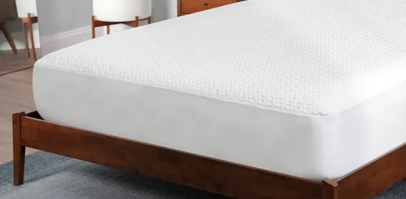 bedgear-dri-tech-mattress-protector